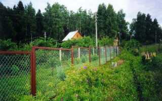 Дачные хитрости ограждения для Вашего участка