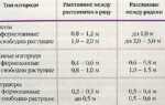 Из чего делают живую изгородь