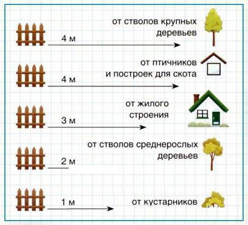 Расстояние от деревьев до забора