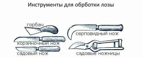 Инструмент для обработки лозы