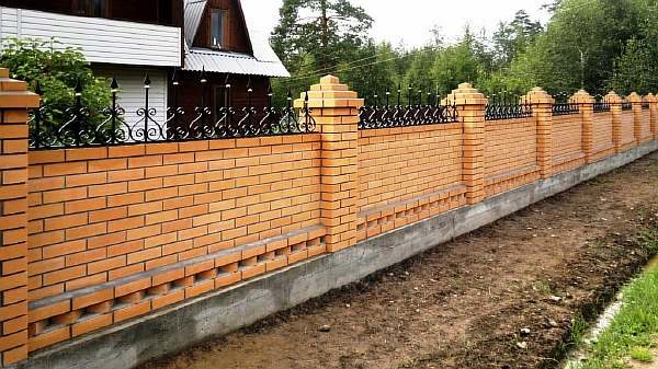 Забор ТИСЭ