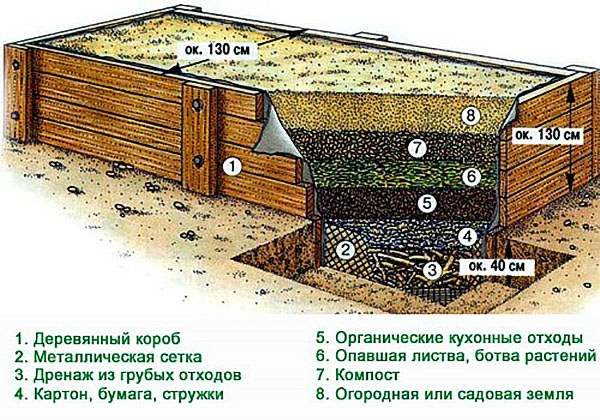 Чертеж теплого огорода