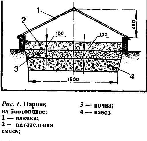 Как правильно сделать грядки