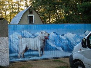 Забор с рисунком.